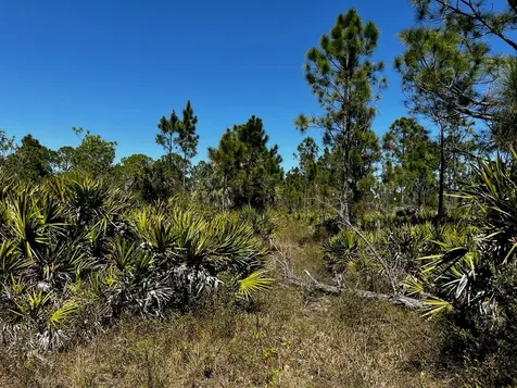 5151 Chiquita Drive Punta Gorda FL 33982