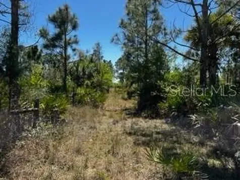 5151 Chiquita Drive Punta Gorda FL 33982