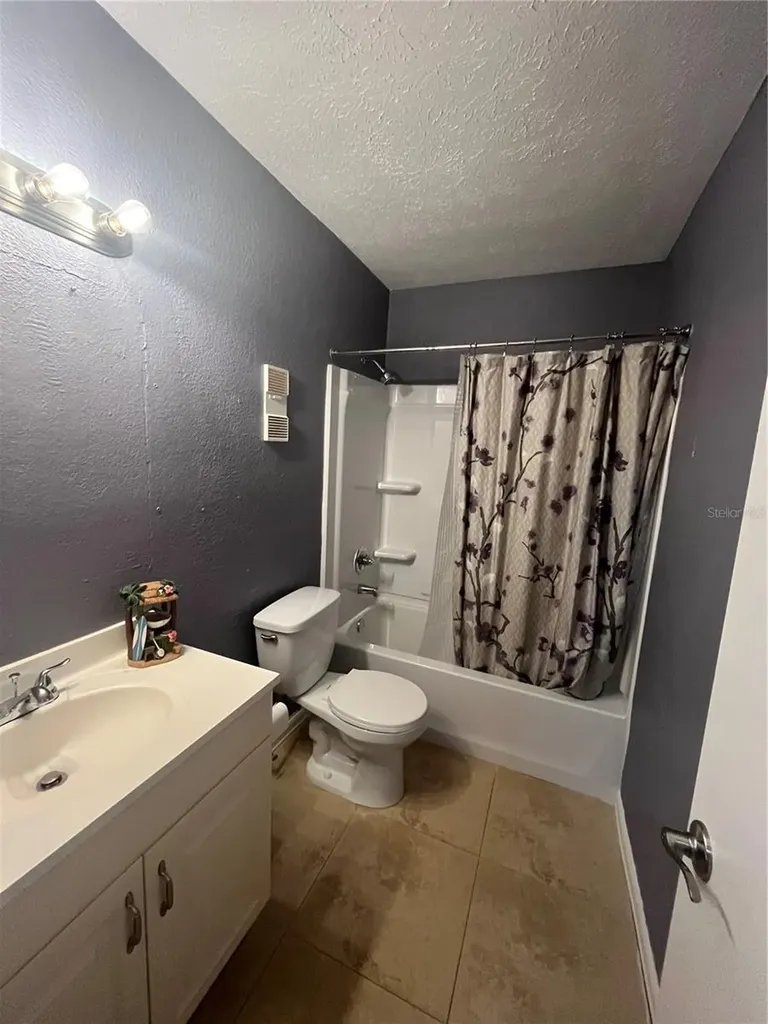 13709 Juniper Blossom Drive Tampa FL 33618