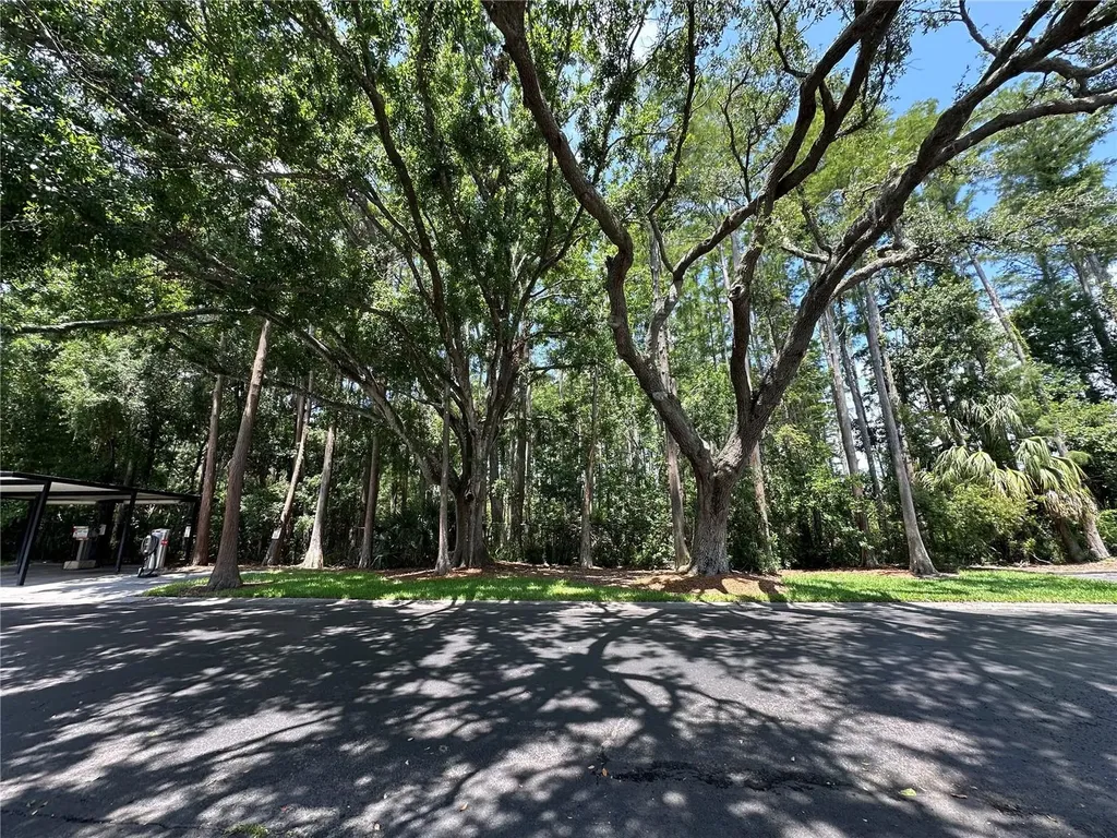 13709 Juniper Blossom Drive Tampa FL 33618