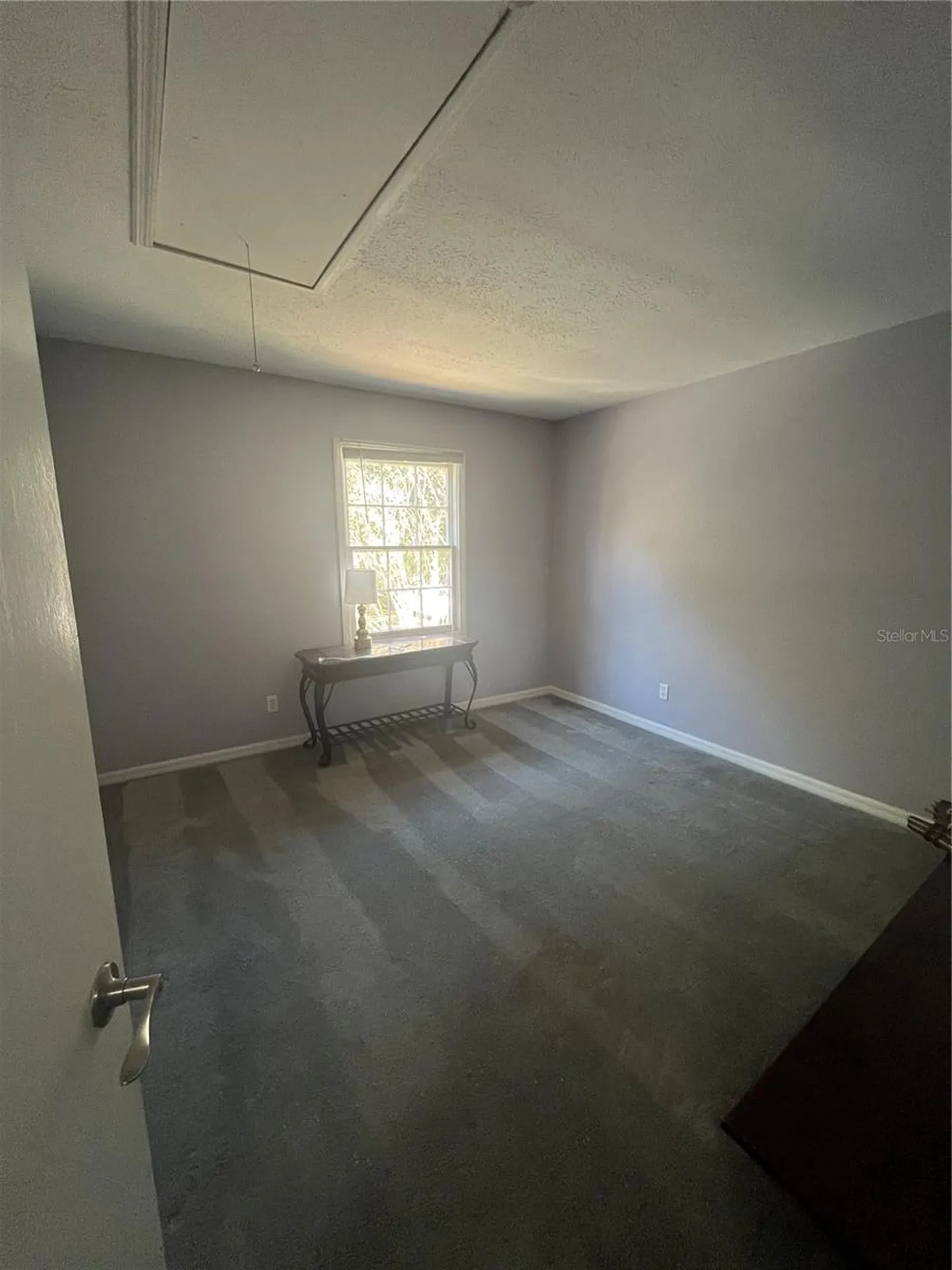 13709 Juniper Blossom Drive Tampa FL 33618