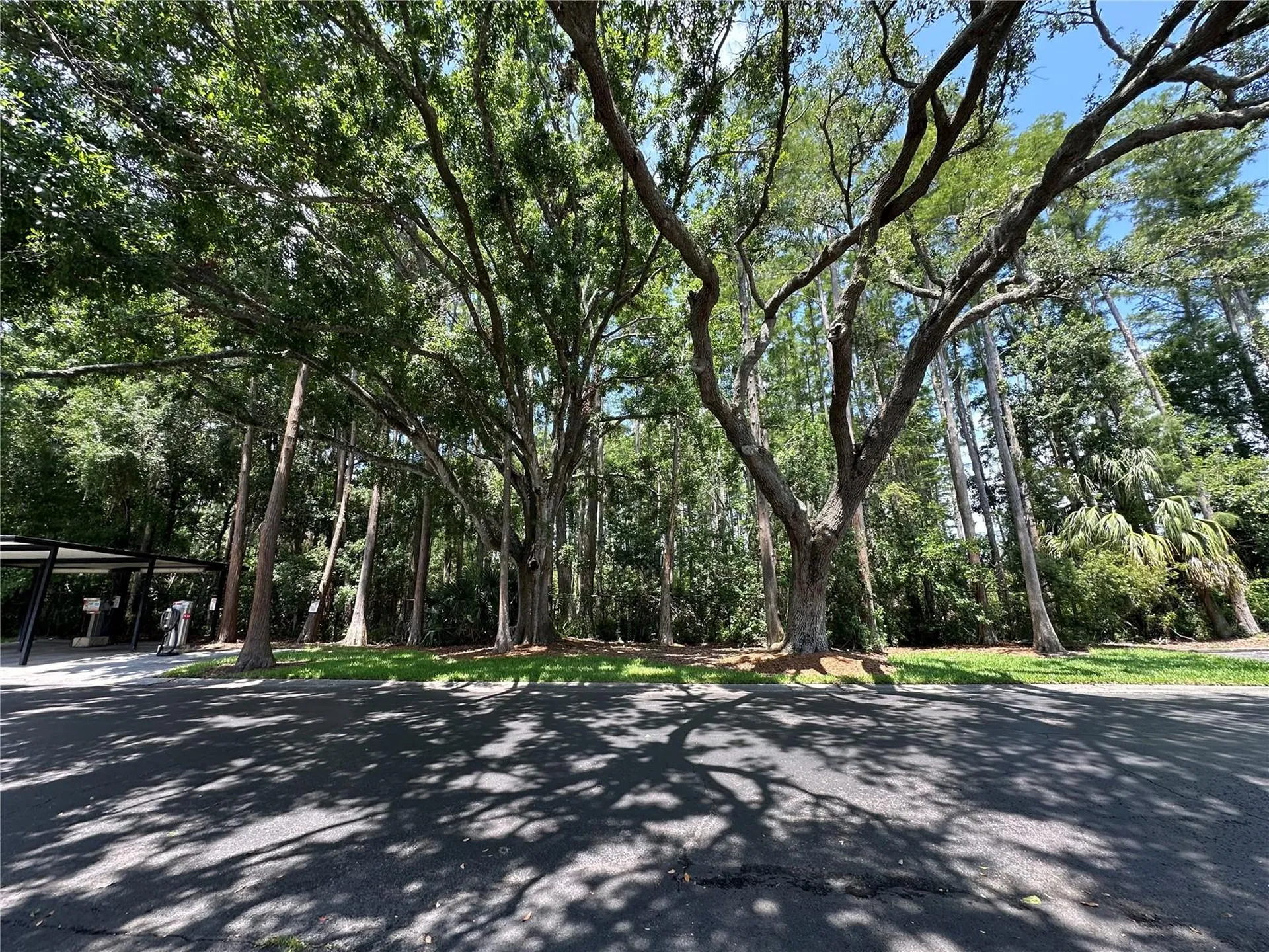 13709 Juniper Blossom Drive Tampa FL 33618