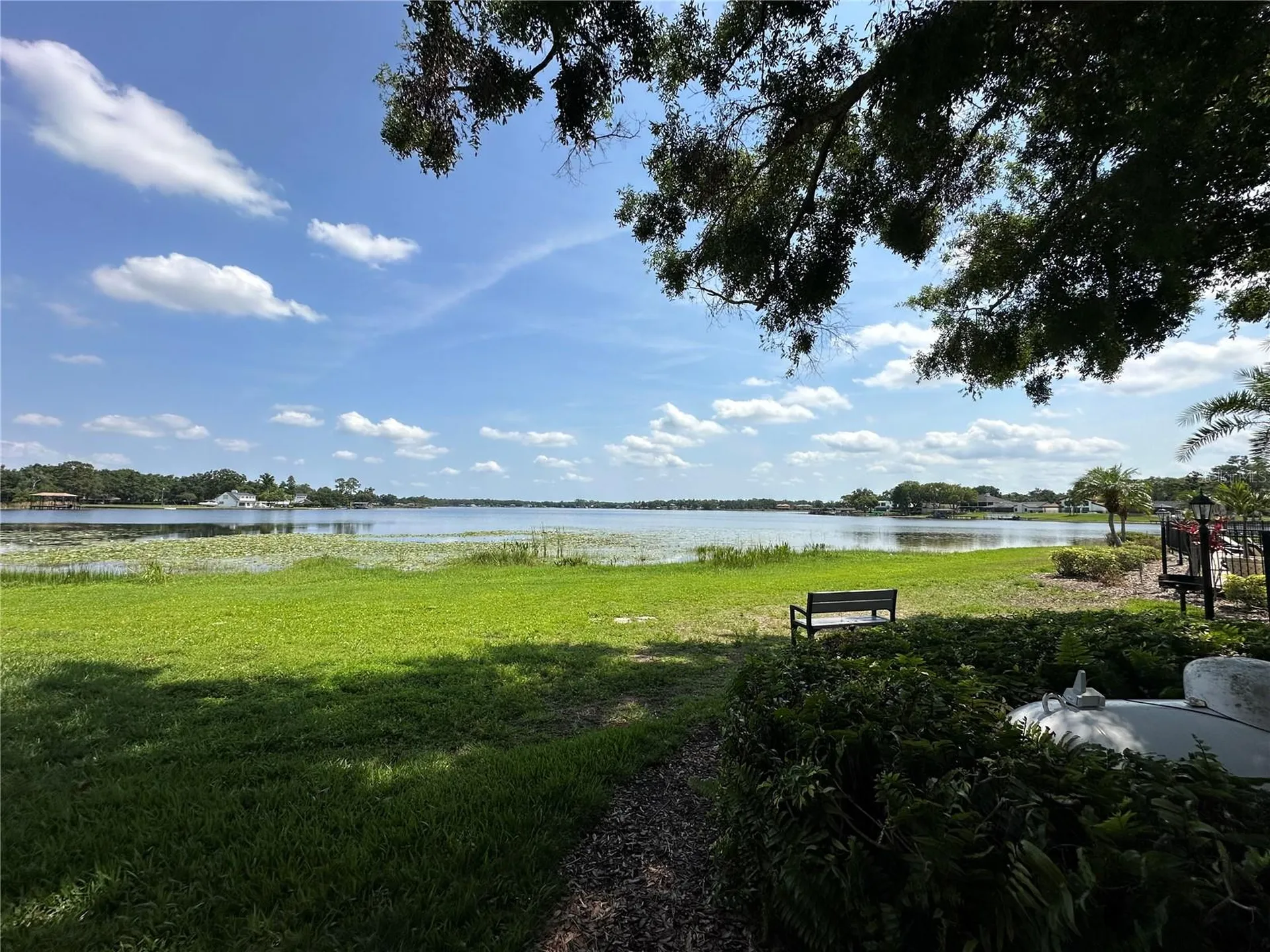 13709 Juniper Blossom Drive Tampa FL 33618