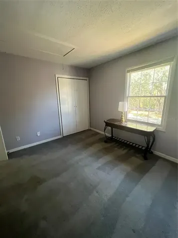 13709 Juniper Blossom Drive Tampa FL 33618
