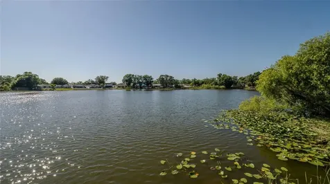 12416 Queensland Lane Tampa FL 33625