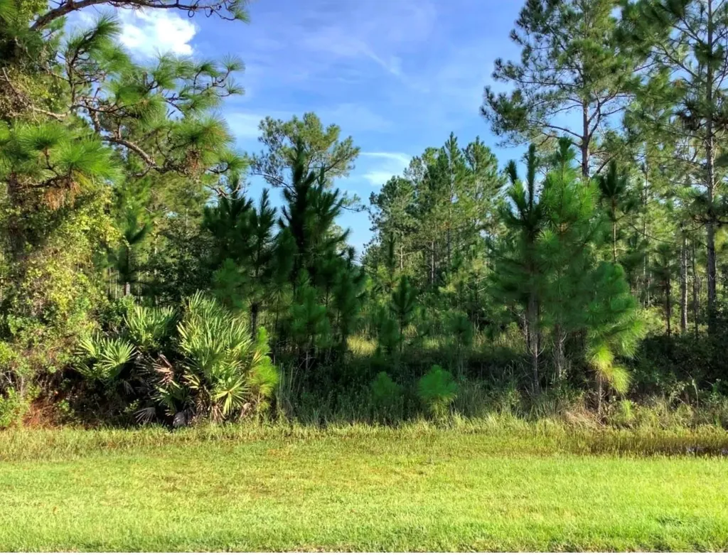 Sabal Street Orlando FL 32833