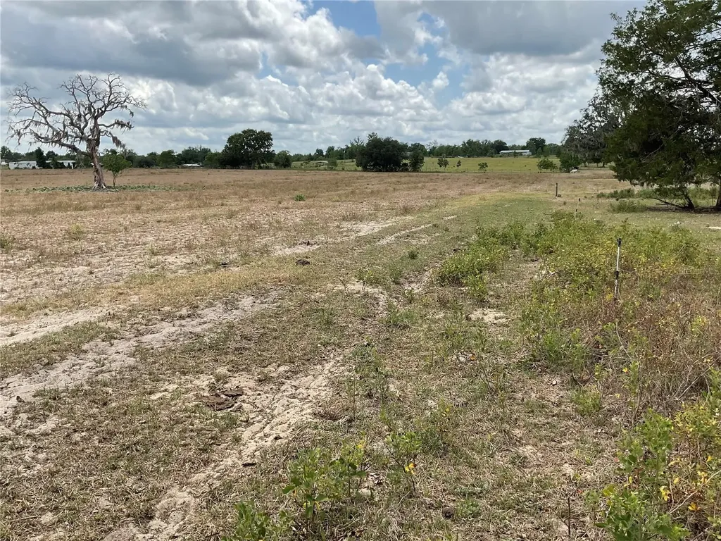 9750 NE 49th Street Bronson FL 32621