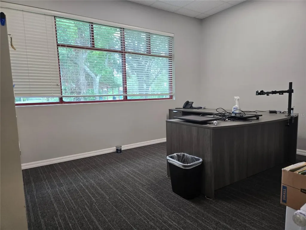255 Pine Avenue N Oldsmar FL 34677