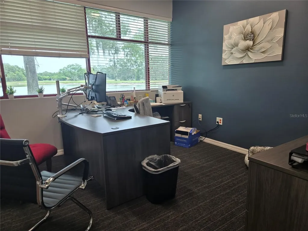 255 Pine Avenue N Oldsmar FL 34677