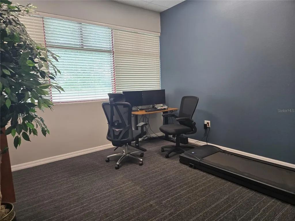255 Pine Avenue N Oldsmar FL 34677