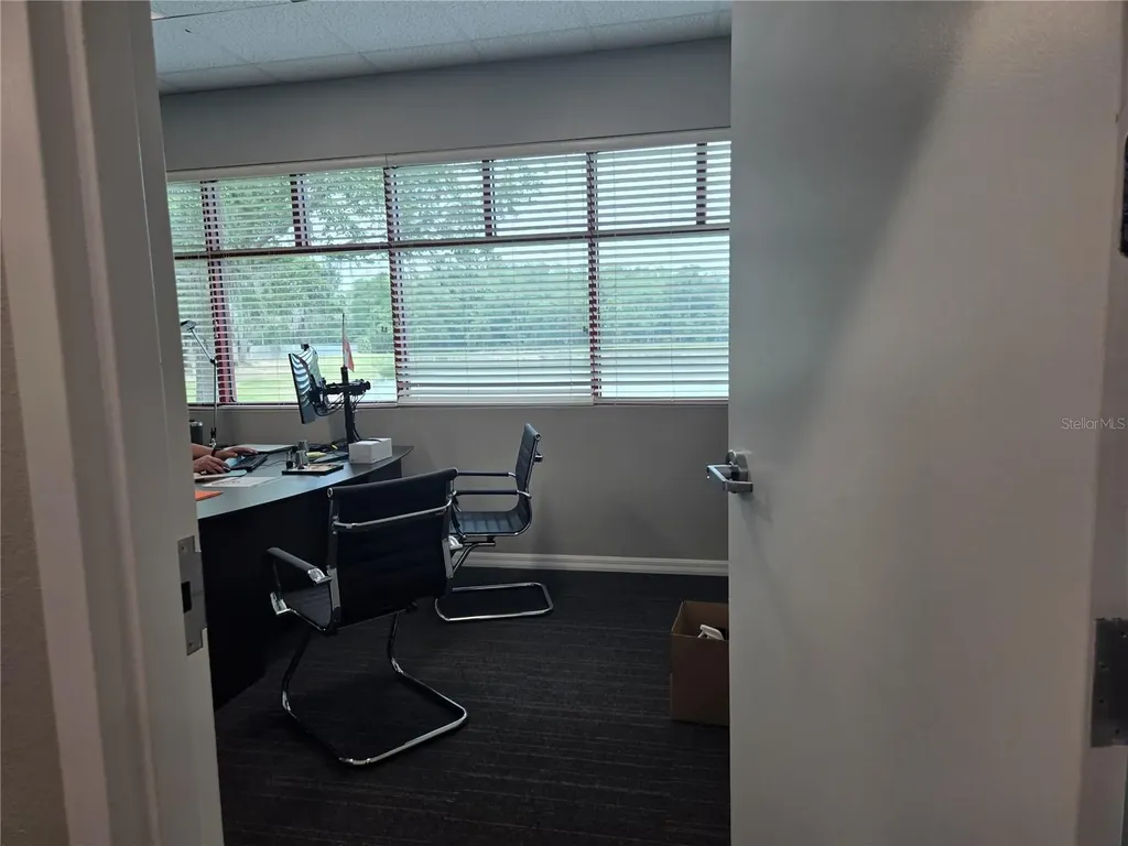 255 Pine Avenue N Oldsmar FL 34677