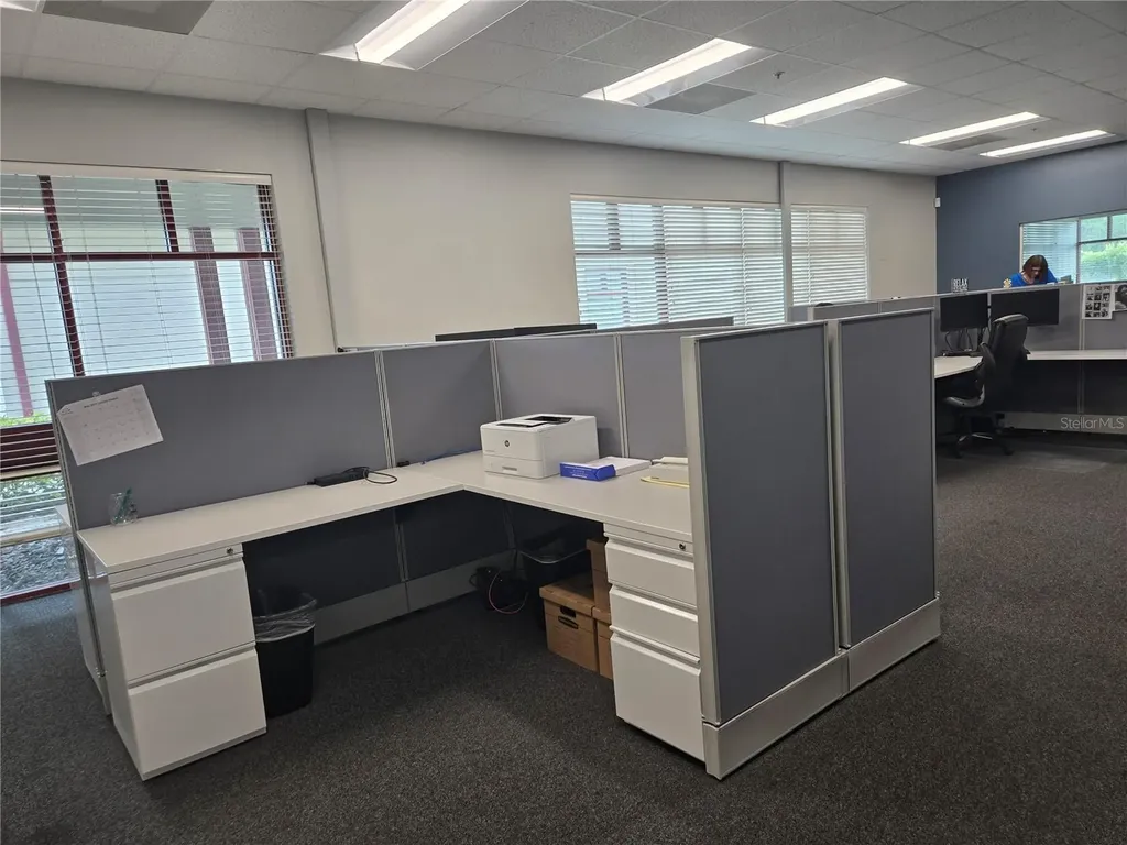 255 Pine Avenue N Oldsmar FL 34677