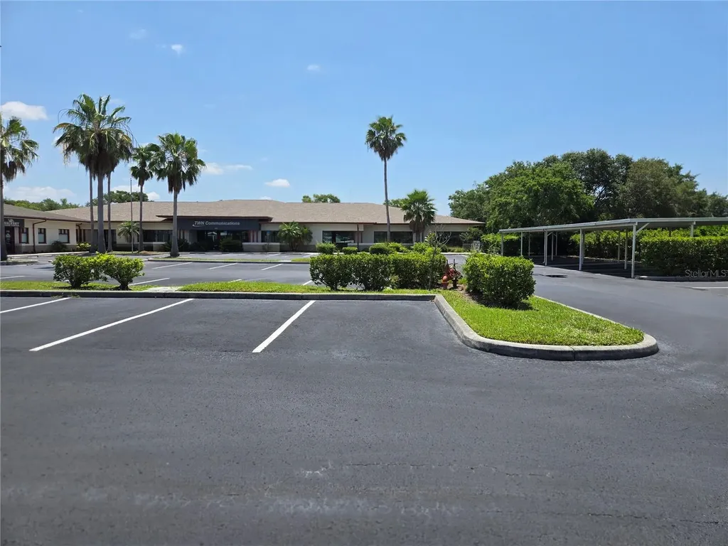 255 Pine Avenue N Oldsmar FL 34677