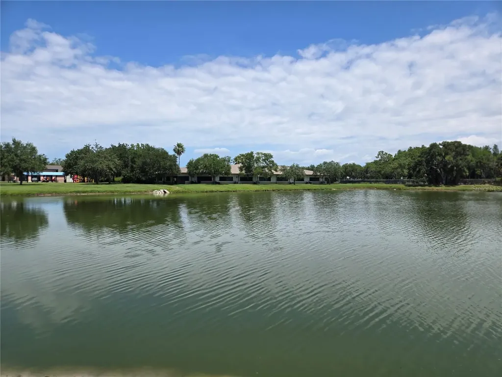 255 Pine Avenue N Oldsmar FL 34677