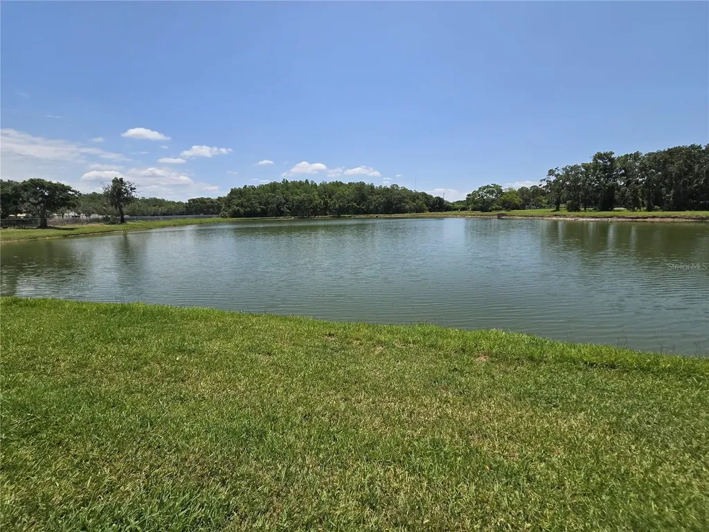 255 Pine Avenue N Oldsmar FL 34677