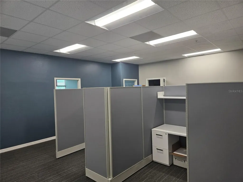 255 Pine Avenue N Oldsmar FL 34677