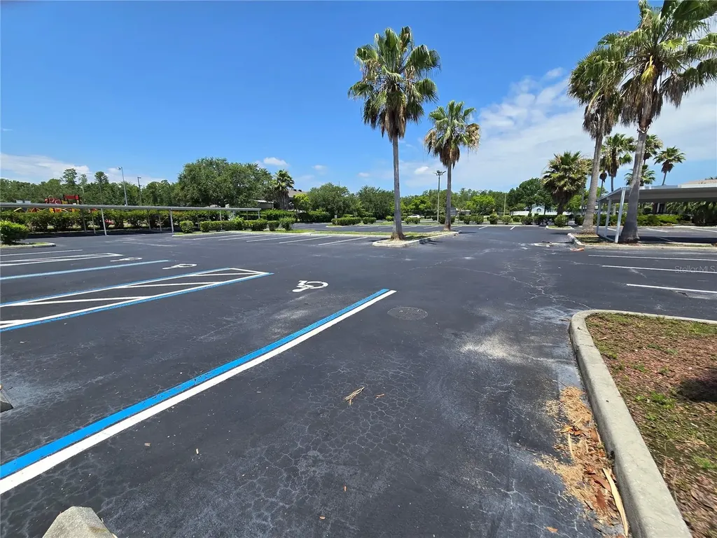 255 Pine Avenue N Oldsmar FL 34677
