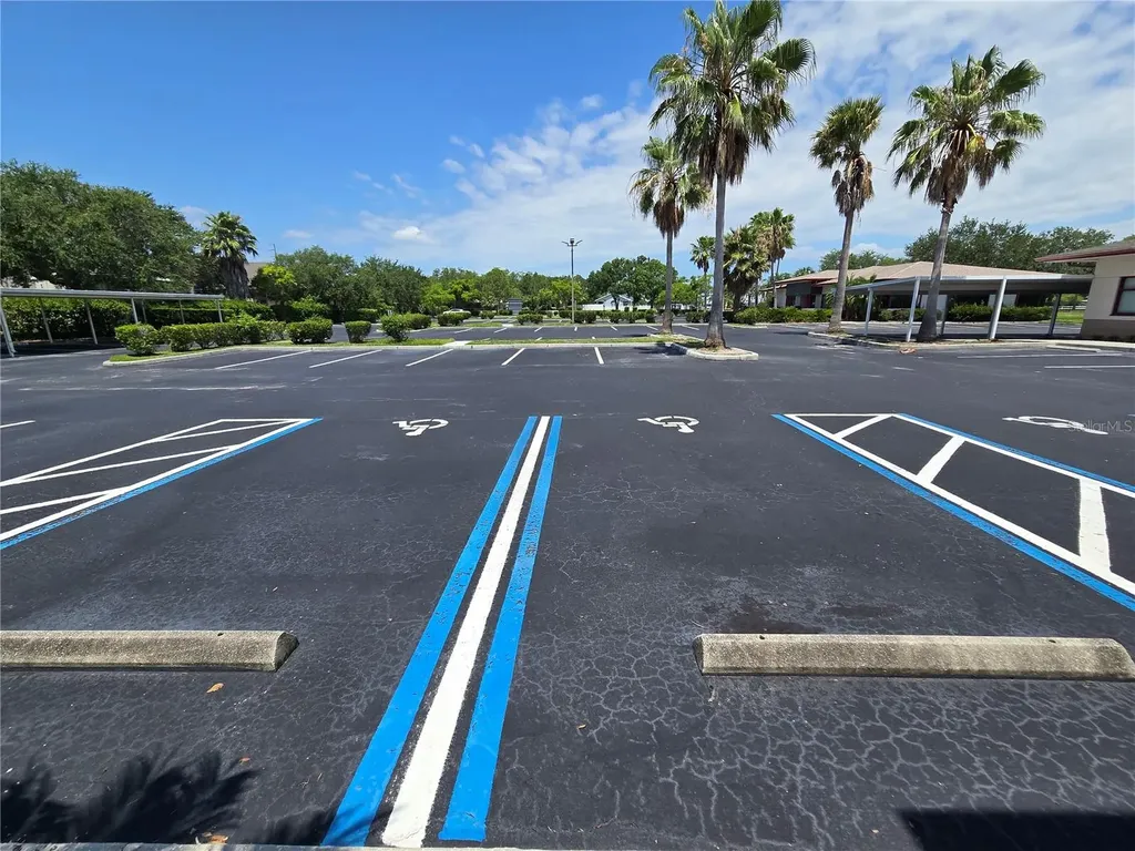 255 Pine Avenue N Oldsmar FL 34677