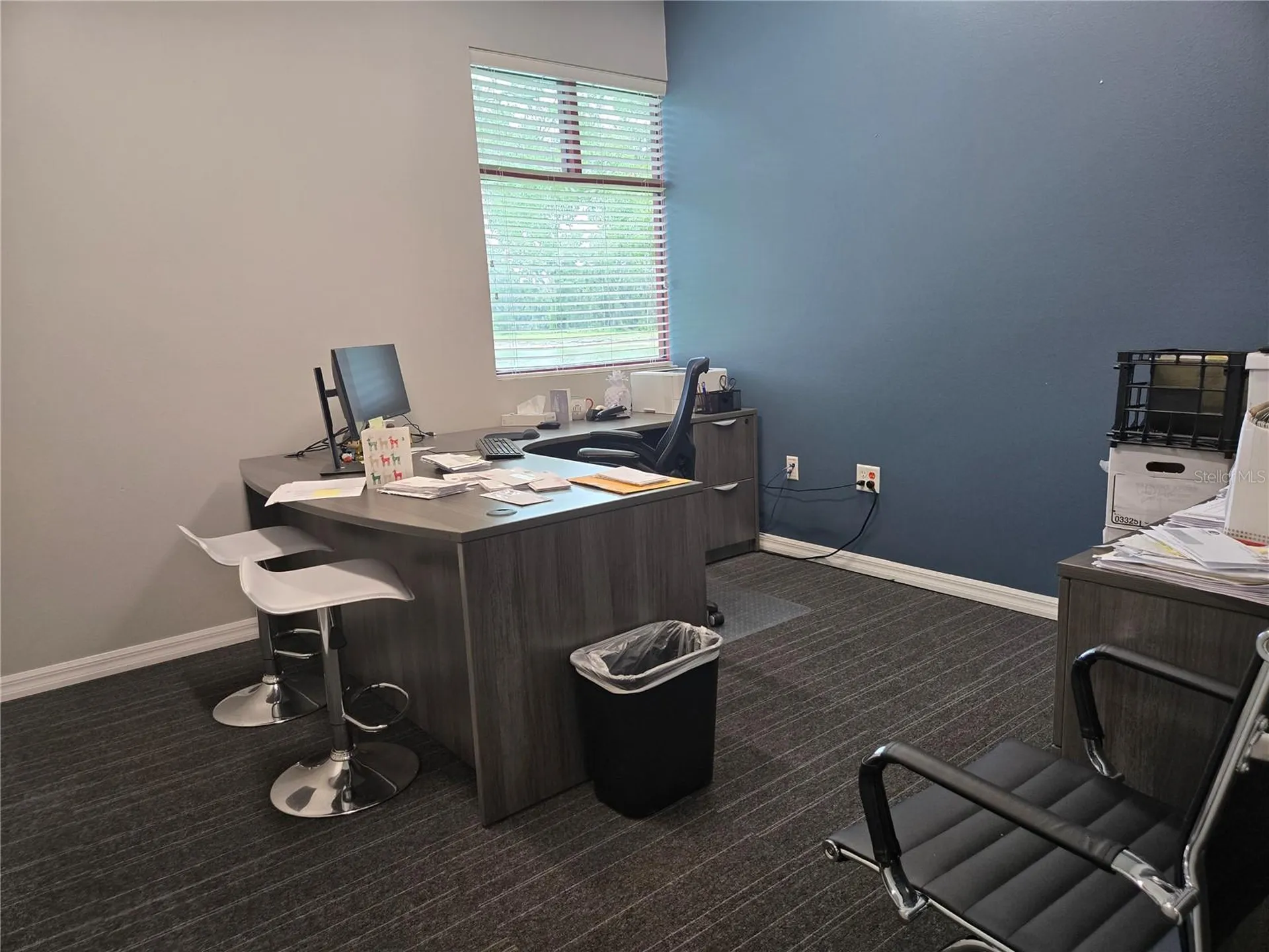 255 Pine Avenue N Oldsmar FL 34677