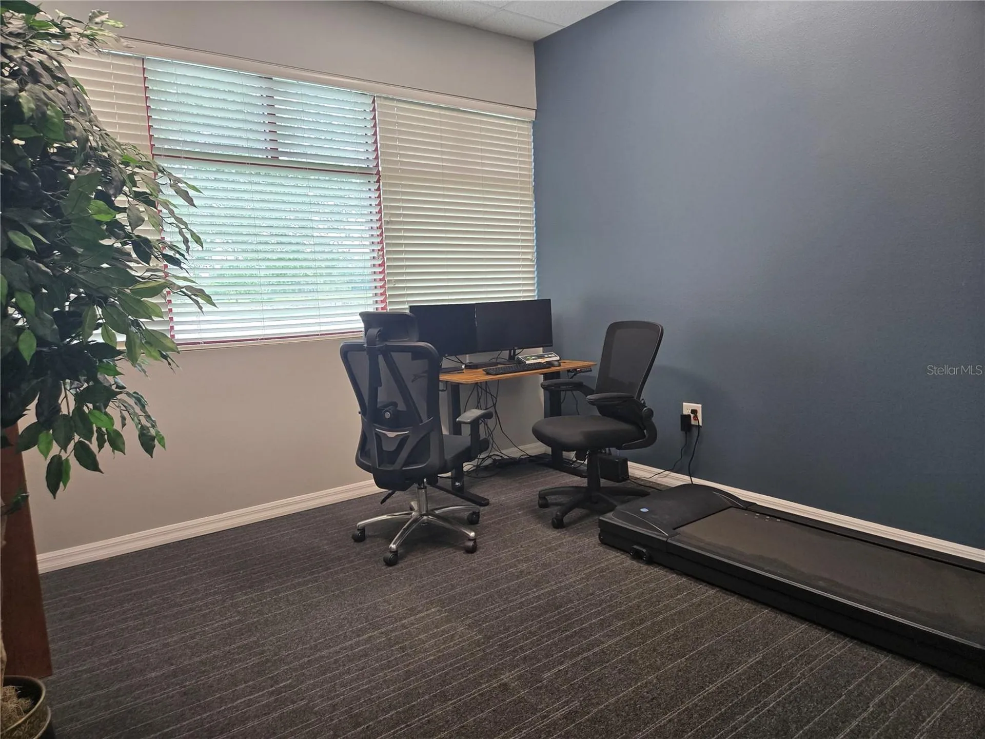 255 Pine Avenue N Oldsmar FL 34677