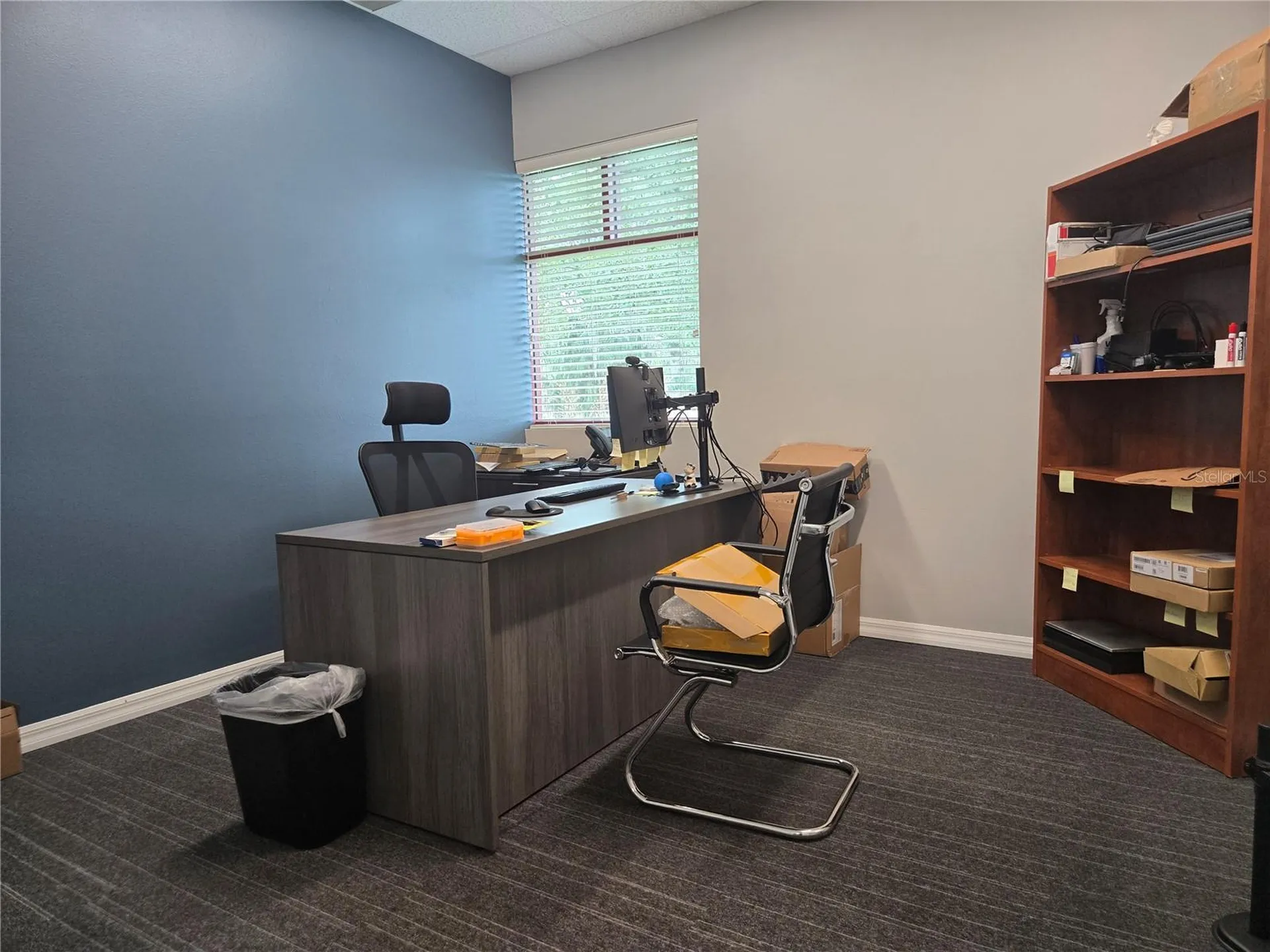 255 Pine Avenue N Oldsmar FL 34677