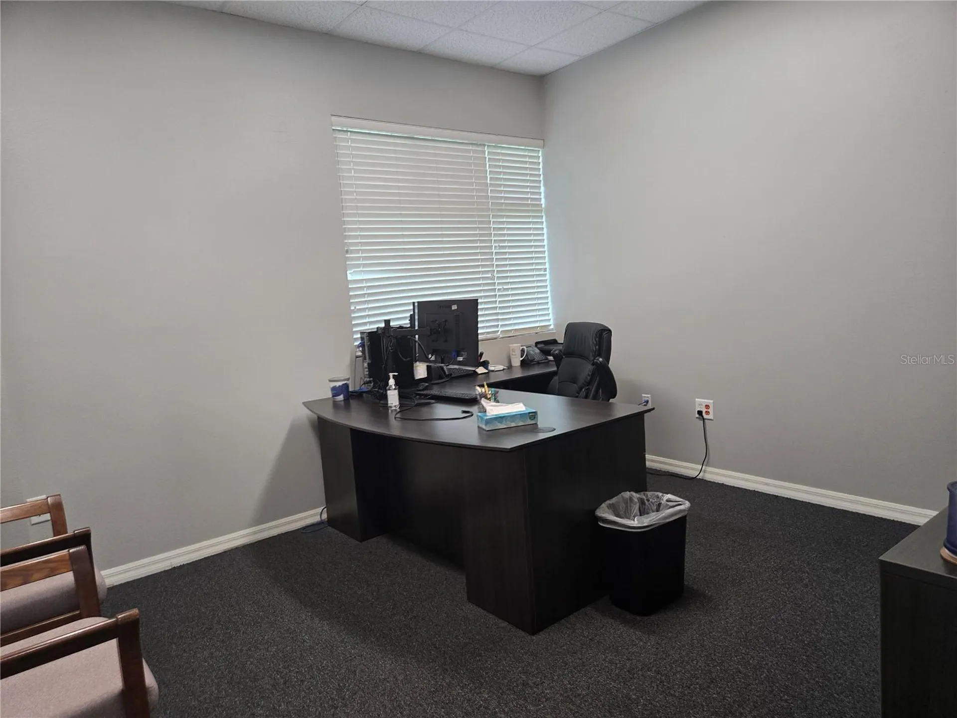 255 Pine Avenue N Oldsmar FL 34677
