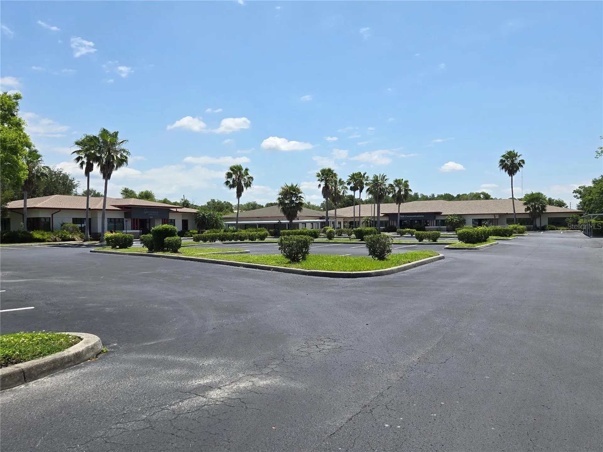 255 Pine Avenue N Oldsmar FL 34677
