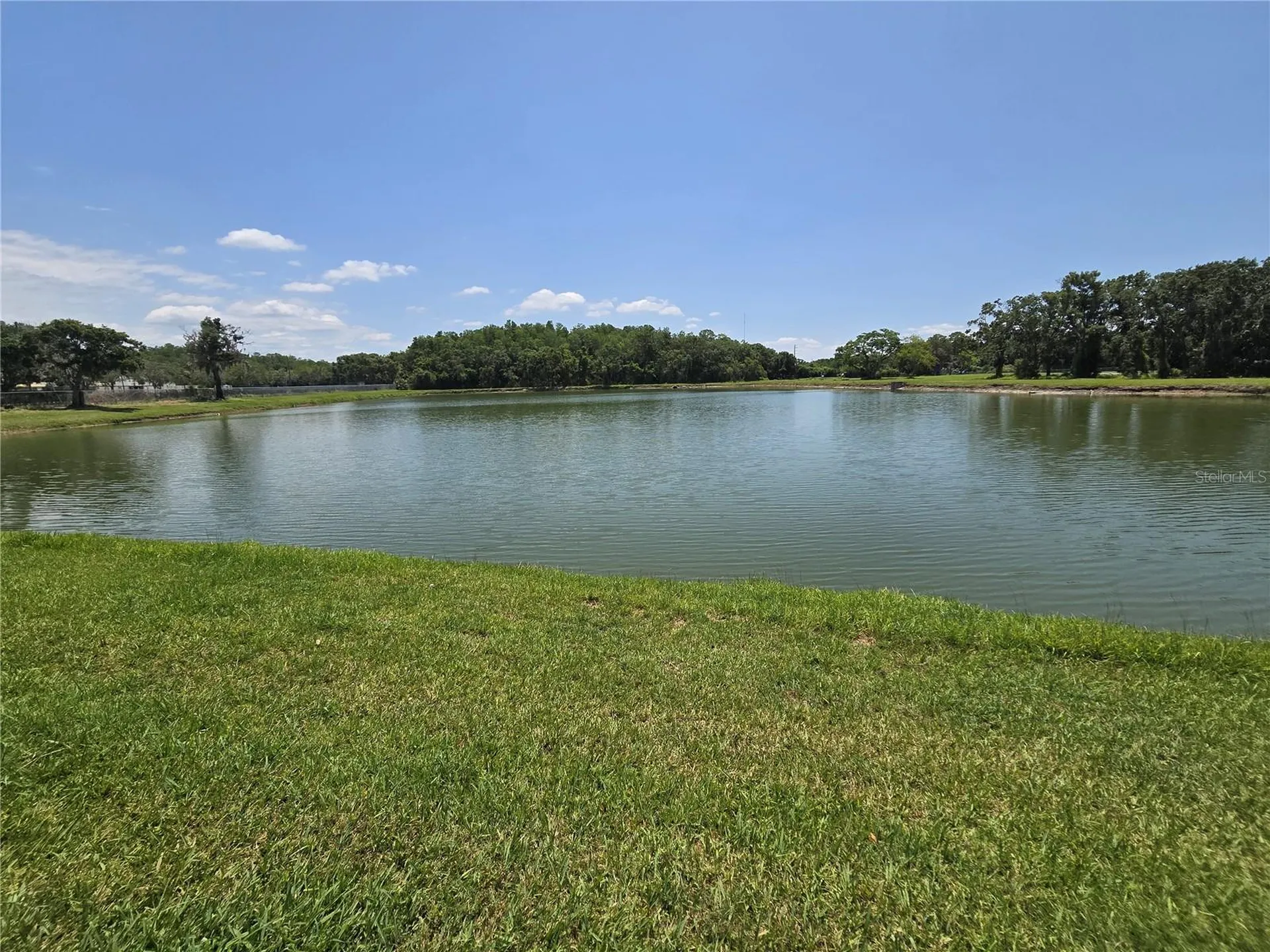 255 Pine Avenue N Oldsmar FL 34677