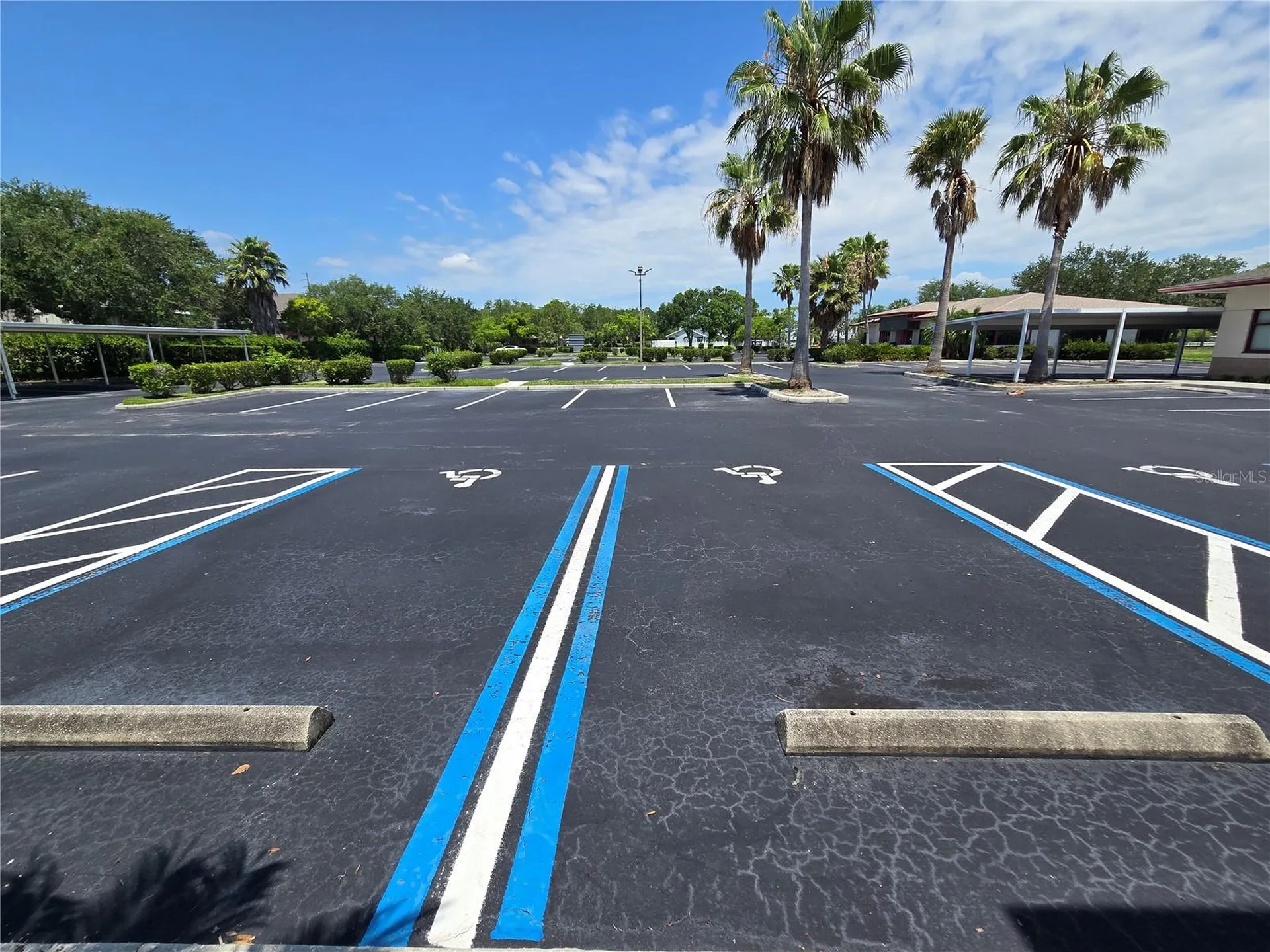 255 Pine Avenue N Oldsmar FL 34677