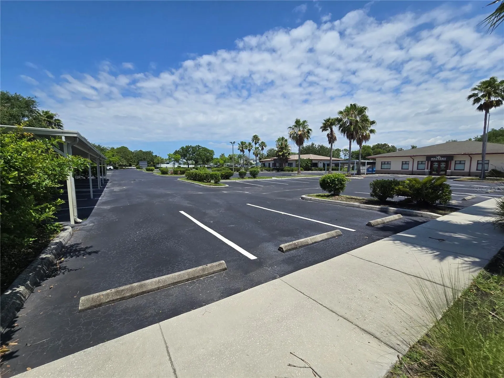 255 Pine Avenue N Oldsmar FL 34677