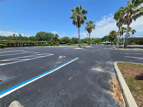 255 Pine Avenue N Oldsmar FL 34677