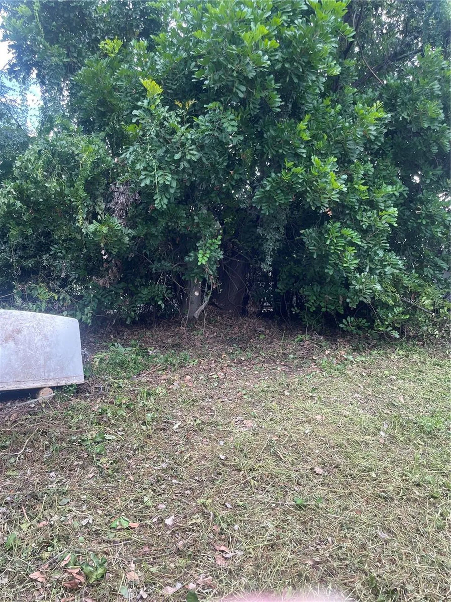2445 Webber Street Sarasota FL 34239