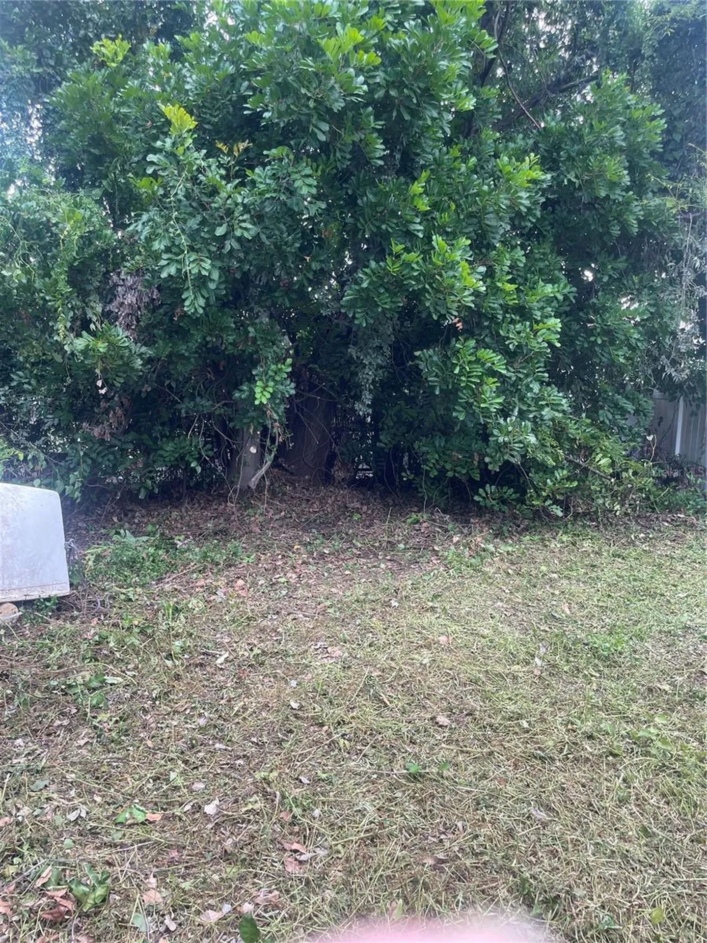 2445 Webber Street Sarasota FL 34239