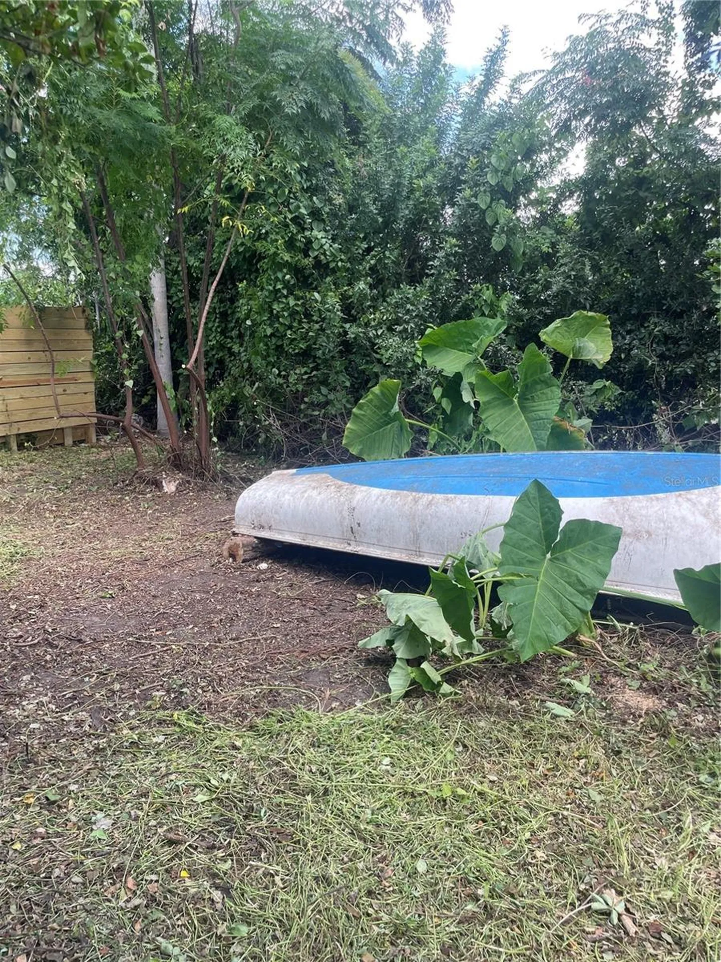 2445 Webber Street Sarasota FL 34239