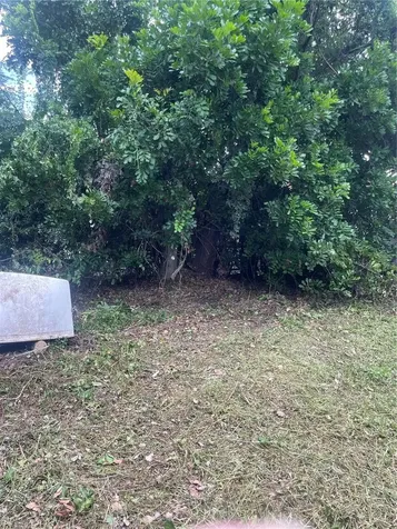 2445 Webber Street Sarasota FL 34239