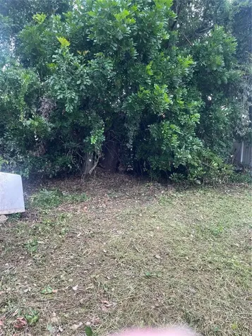 2445 Webber Street Sarasota FL 34239