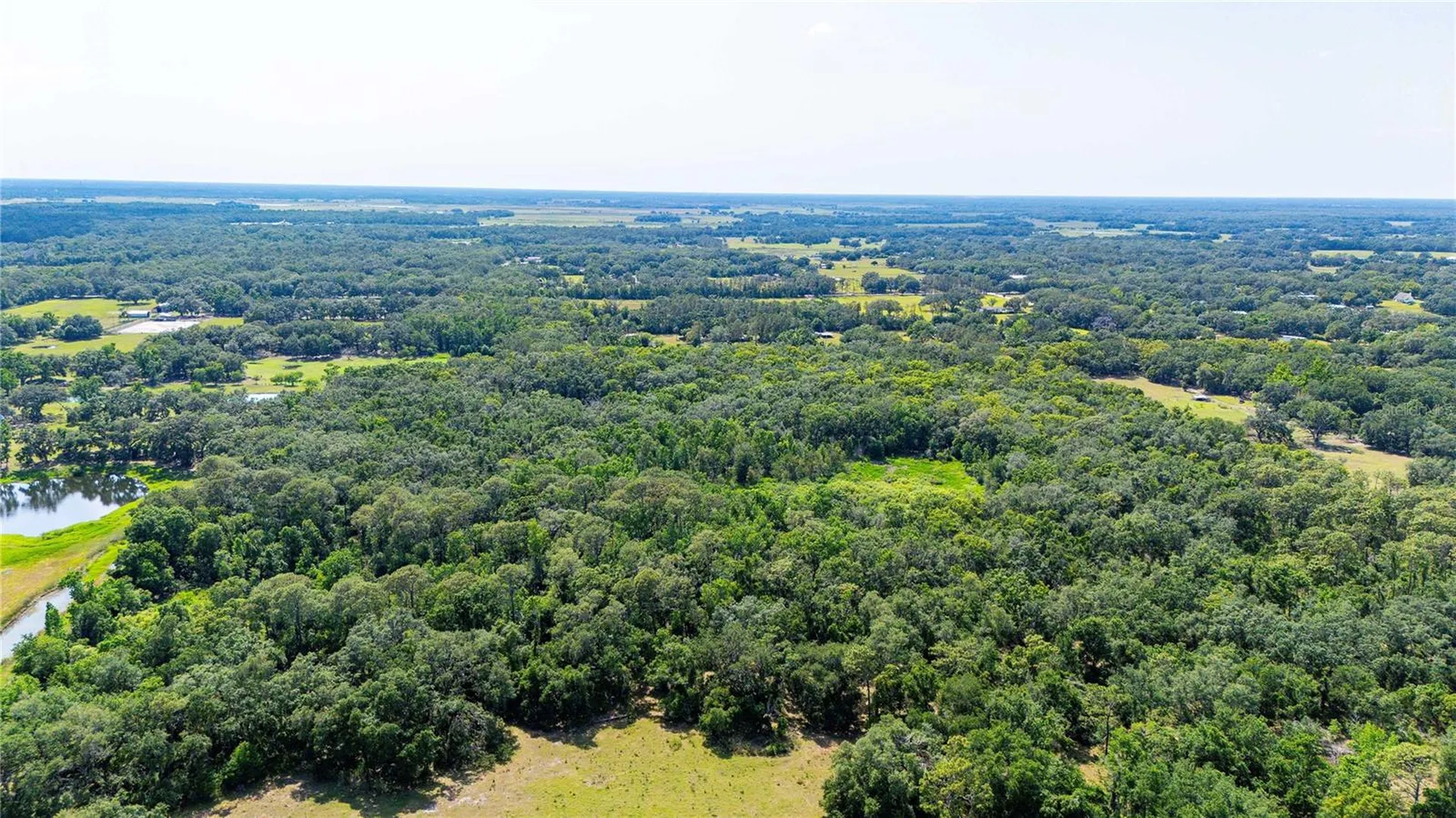 Bradley Drive Dade City FL 33525