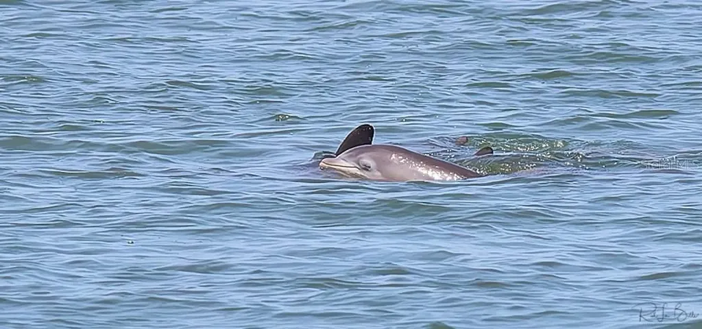 2700 Bayshore Boulevard Dunedin FL 34698