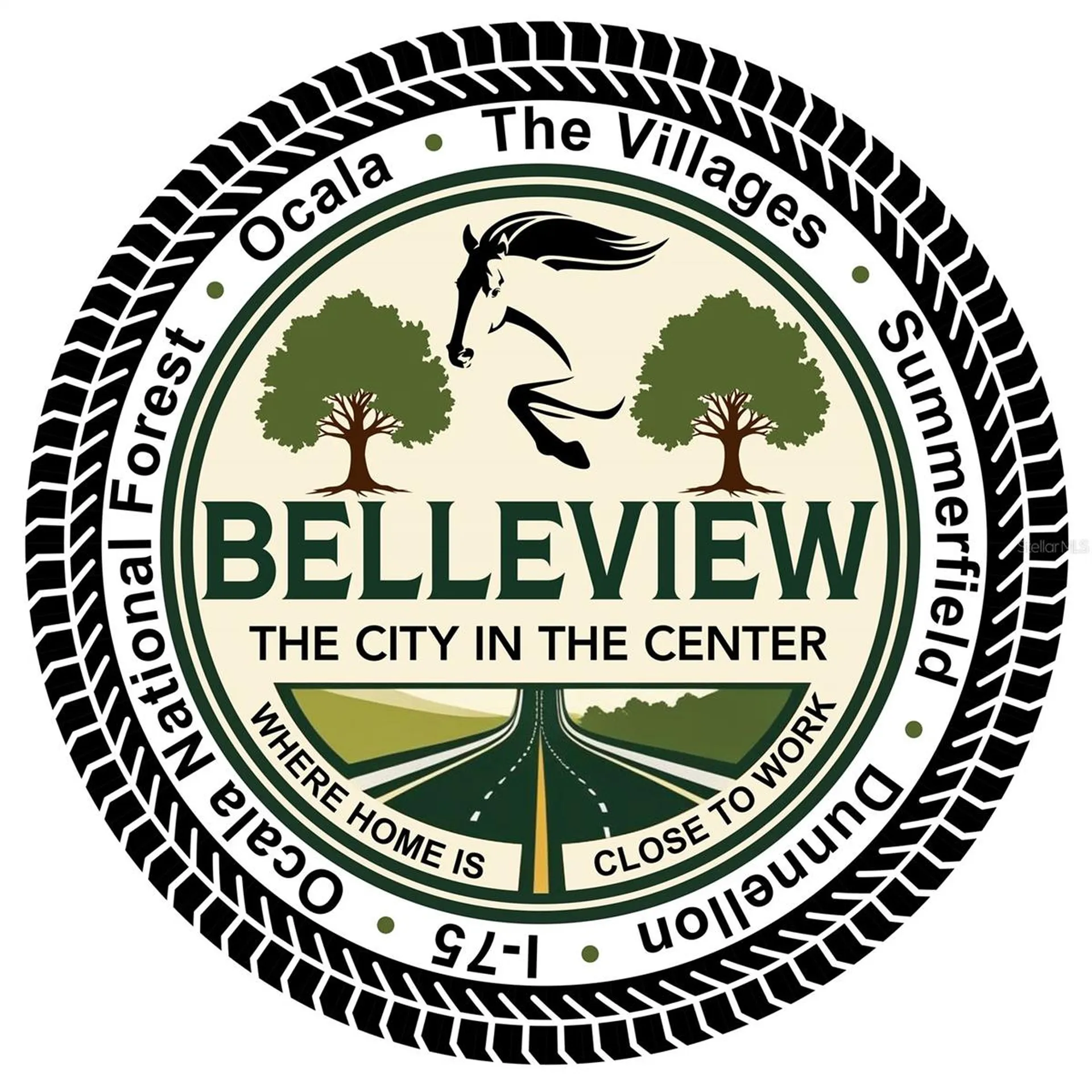 11090 SE 55th Avenue Road Belleview FL 34420