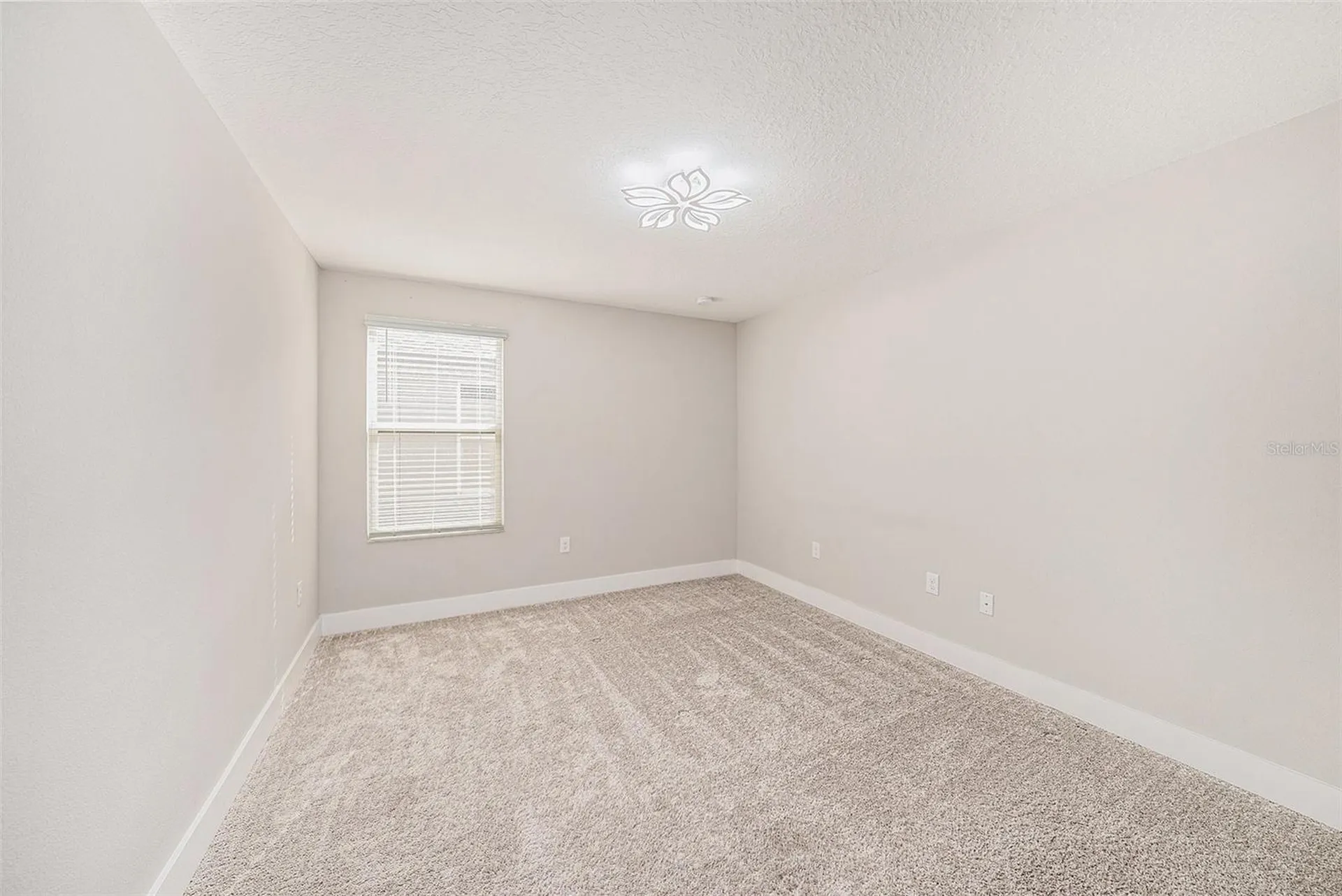 8719 Winning Fields Road New Port Richey FL 34655