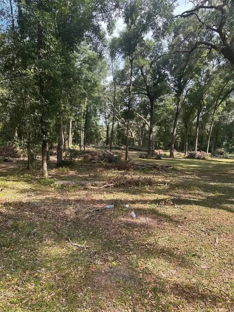 Tbd SW 111th Lane Dunnellon FL 34432