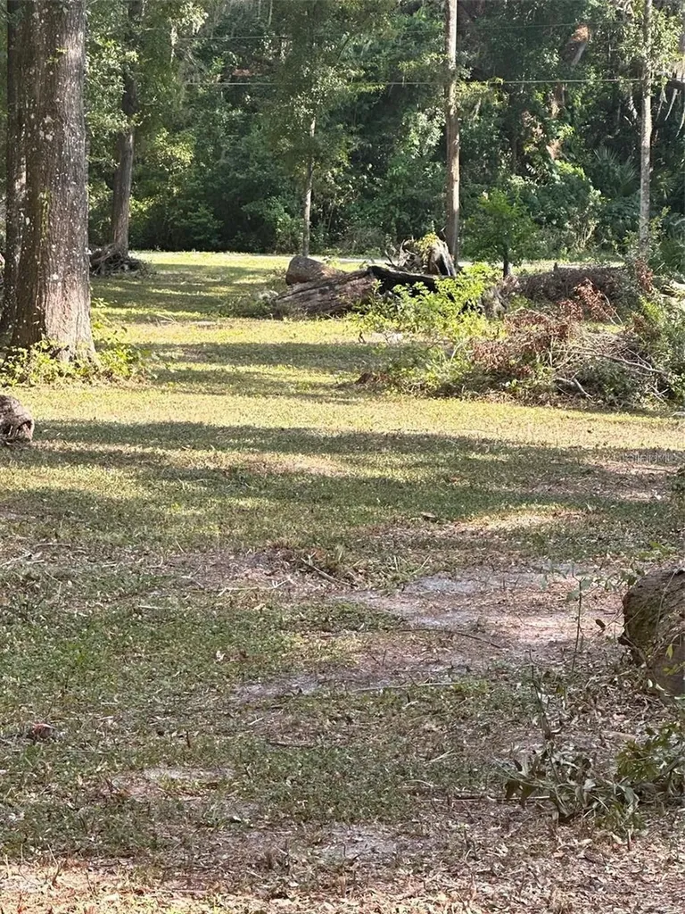 Tbd SW 111th Lane Dunnellon FL 34432