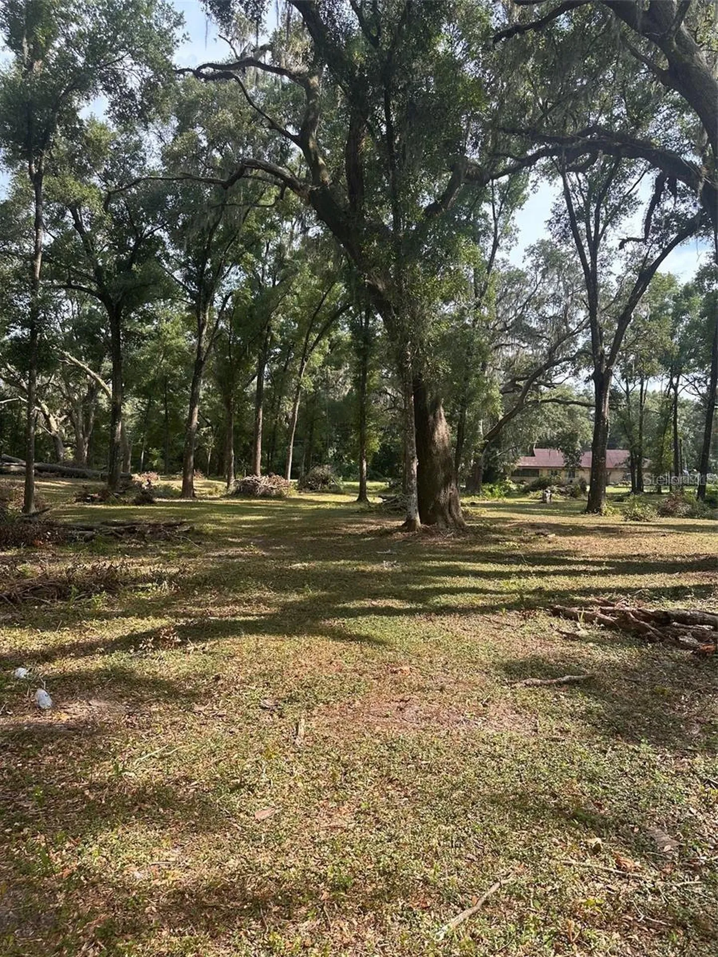 Tbd SW 111th Lane Dunnellon FL 34432