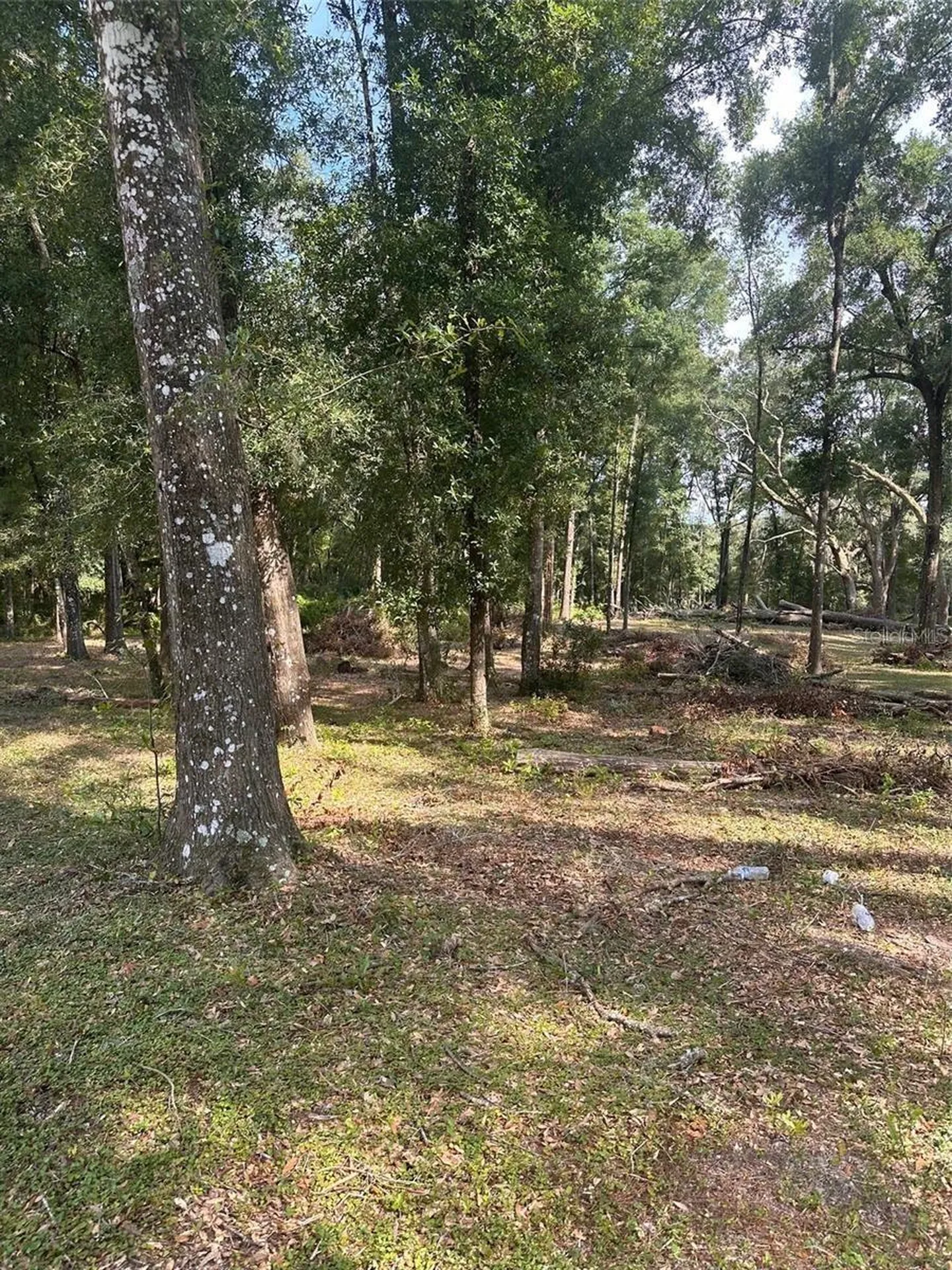Tbd SW 111th Lane Dunnellon FL 34432