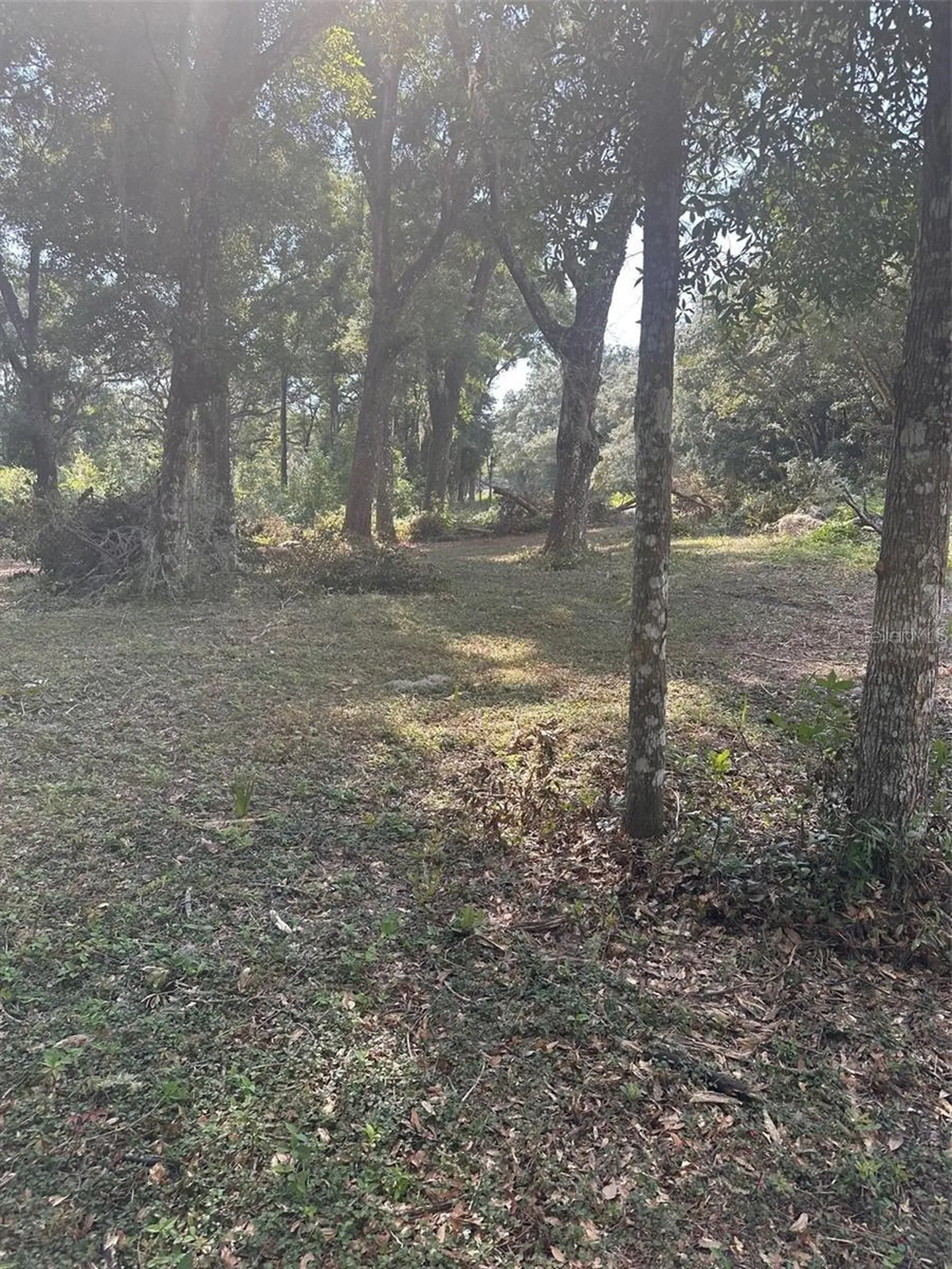 Tbd SW 111th Lane Dunnellon FL 34432