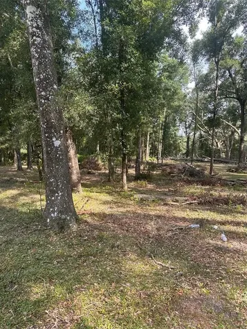 Tbd SW 111th Lane Dunnellon FL 34432