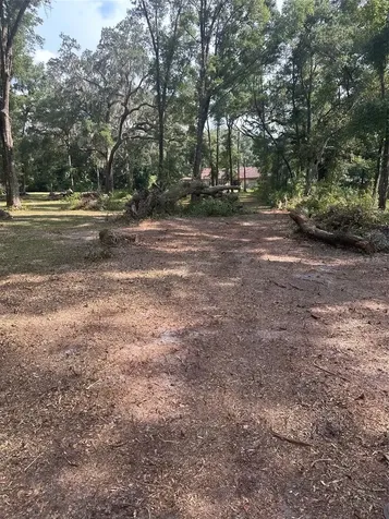Tbd SW 111th Lane Dunnellon FL 34432