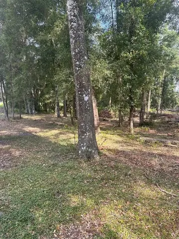 Tbd SW 111th Lane Dunnellon FL 34432