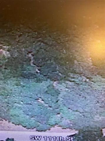 Tbd SW 111th Lane Dunnellon FL 34432