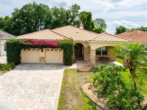 6928 Cozumel Court Land O Lakes FL 34637